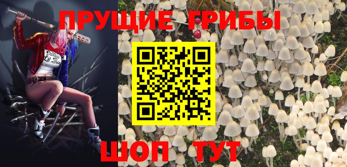 Псилоцибиновые грибы мухоморы Кудымкар